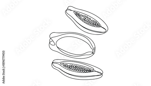One continuous line illustration of an Papaya fruit, isolated on white background.