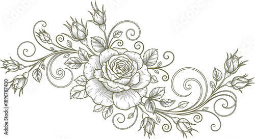 described features a detailed line drawing of a rose, which serves as the focal point of the composition. The rose is depicted in full bloom, showcasing its numerous layered petals that create a rich,