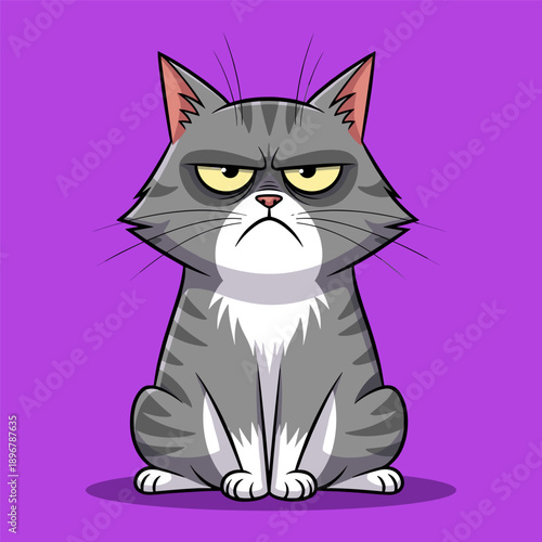 Grey cat with angry expression sitting on purple background looking unhappy and displeased