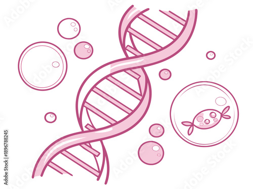 vector illustration of a dna