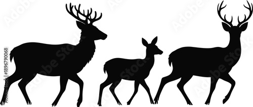 Three deer silhouettes, two large stags with antlers and one small fawn, walk in profile across the frame.