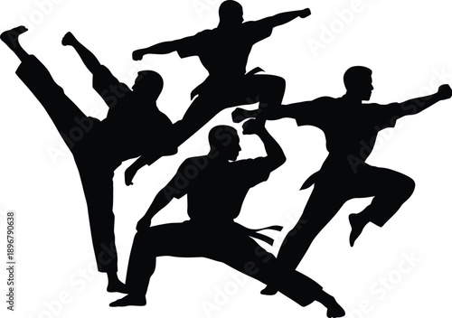 Silhouettes of martial arts practitioners demonstrating dynamic fighting stances and powerful kicks against a white.