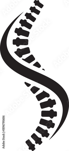 Human spine anatomy silhouette with curved backbone vertebrae bones representing orthopedic healthcare medical treatment and spinal health
