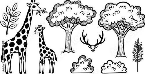 Black and white vintage style illustration of adult and baby giraffe eating leaves with trees bushes and deer antlers isolated on white