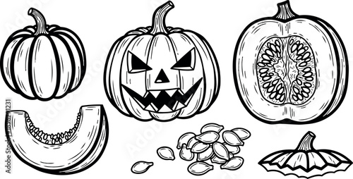 Black and white line art illustration of whole pumpkin jack o lantern and sliced pumpkin with seeds and cap elements