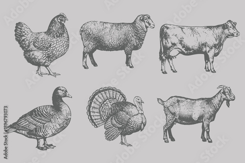 Halftone stipple style Cow, Sheep, Turkey, Chicken, Duck, Goat bundle vector illustration. Vintage engraving style animal set. Eps 10