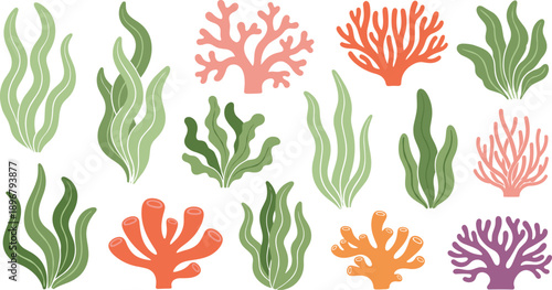 Collection of flat vector underwater sea plants and colorful coral reef elements isolated on white background for ocean nature design