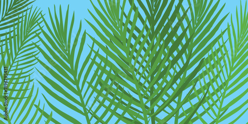 Summer background with tropical plant. Green tropical plant on blue background card for web design. Vector illustration