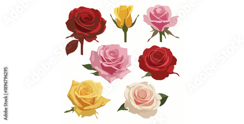 Isolated colorful rose flowers vector set with realistic blooms from multiple angles