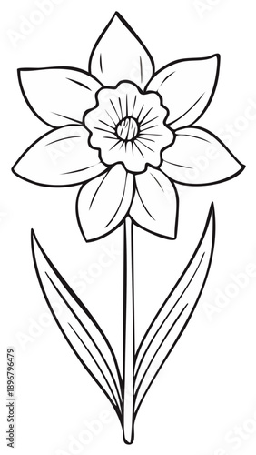 Stylized black and white daffodil flower outline drawing with petals, trumpet, and stem for spring