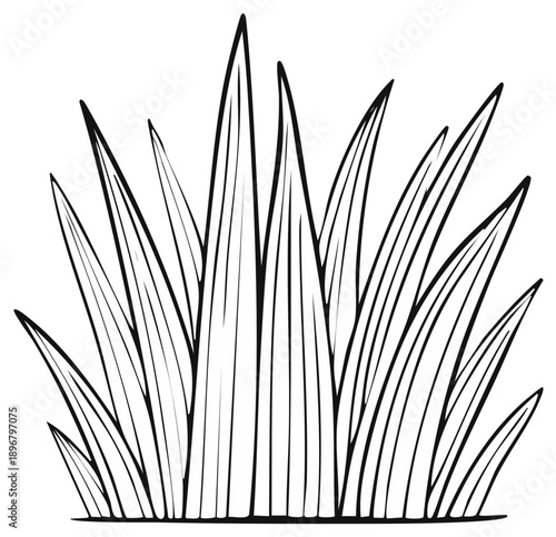 Abstract Line Art Illustration of Green Grass Blades in a Clump