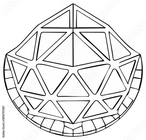 Geodesic Dome Outline Sketch Triangle Pattern Black and White Architectural Structure