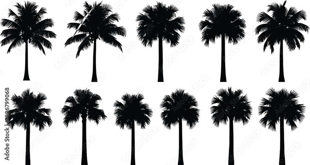 Fototapeta premium Silhouette of various tropical palm tree species isolated on white background for summer vacation travel and exotic nature landscape design
