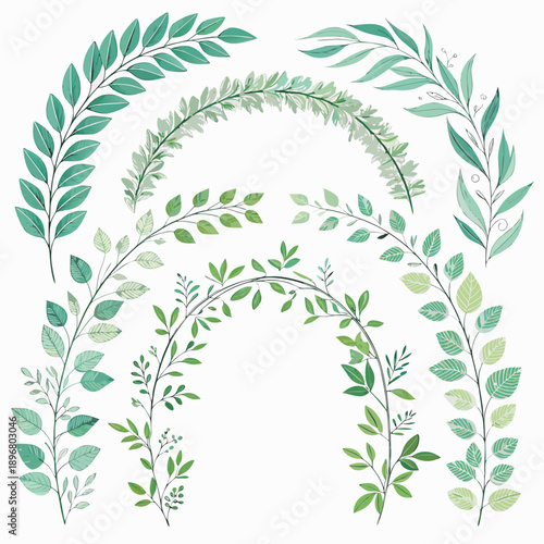 Collection of green leaves arranged in arches on a botanical illustration