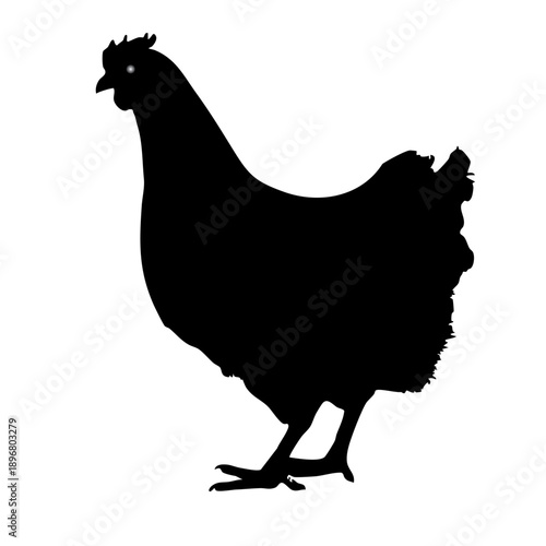 silhouette of a chicken