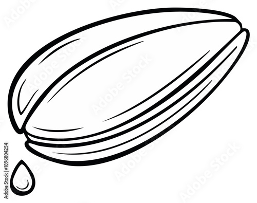 Sunflower seed with a single drop of oil black and white line art illustration