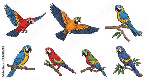Collection of Colorful Macaw Parrots in Various Poses.