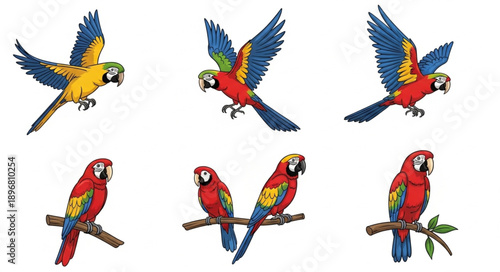 Collection of colorful macaws in various poses and flying.
