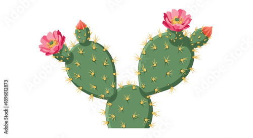 Prickly pear cactus with vibrant pink flowers and sharp thorns illustrated against a clean white background in flat vector style.