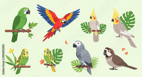 Collection of Diverse Exotic Birds Perched and Flying.