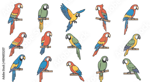 Collection of colorful parrots perched and flying.
