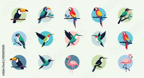 Collection of colorful tropical birds in circular frames.