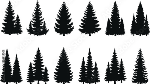 Evergreen tree silhouettes for forest design, pine shapes, nature themes, seasonal decoration, outdoor elements, woodland graphics, and landscape illustration