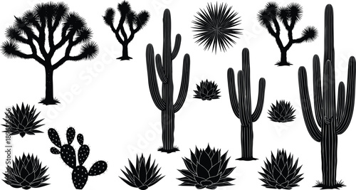 Desert plant silhouette set featuring cactus agave yucca and joshua tree isolated on white background vector illustration botanical design collection