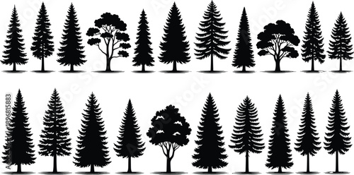 Evergreen tree silhouette set with multiple pine fir and spruce shapes isolated on white background black vector forest collection design