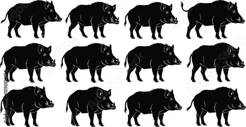 Wild boar silhouette set with multiple poses isolated on white background black vector illustration wildlife animal design collection bundle pack