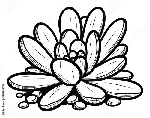 A striking succulent plant with dense fleshy foliage and surrounding smooth stones, ideal for ecological themes or home garden product packaging.