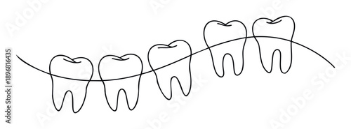 Simple continuous line drawing depicting five healthy molar teeth, symbolizing interconnected oral health and dental care for use in professional medical and wellness applications.