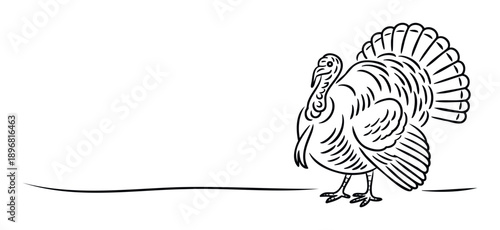 Minimalist outline drawing of a majestic turkey with a fanned tail, perfect for Thanksgiving celebrations, autumn holiday projects, and educational materials.