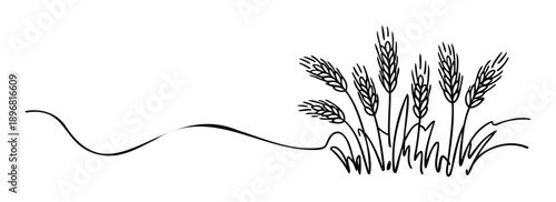 A minimalist continuous line drawing featuring a field of wheat stalks with mature grain ears, perfect for agricultural branding, food packaging, organic product labels, or bakery