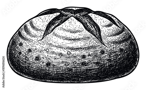 Rustic handdrawn illustration of a delicious round loaf of bread perfect for bakery shop branding, restaurant menus, or foodrelated publications.