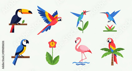 Collection of exotic tropical birds and plants illustration.