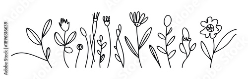 Simple botanical line drawing of various plants and flowers creating a natural meadow aesthetic suitable for springtime themes and decorative graphic design projects