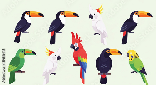 Collection of exotic birds including toucans parrots and cockatoos.