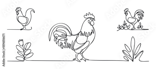 Stylized continuous line drawing of various roosters and plant elements, perfect for rustic farm themes, branding, logo designs, or country lifestyle illustrations