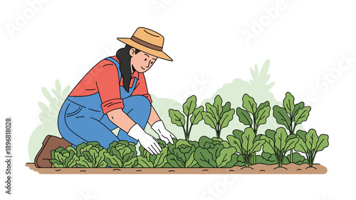 Focused woman wearing overalls and a straw hat tends to rows of fresh green vegetables in a garden plot outdoors.