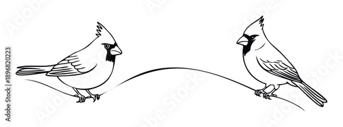 Graphic outline of two cardinals perched on a flowing line, facing each other, ideal for naturethemed logos, coloring book pages, or simple decorative designs.