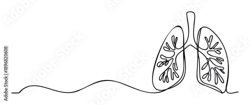 Minimalist one line drawing of human lungs symbolizing respiratory health and wellbeing, ideal for medical education, healthcare promotions, and wellness literature presentations.