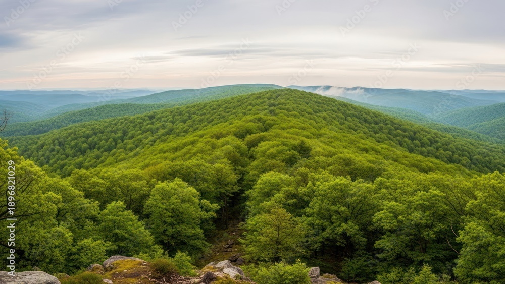 Fototapeta premium Panoramic view of green forested hills under cloudy sky