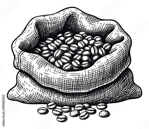 Hand drawn sketch of coffee beans spilling out of a rustic burlap sack, perfect for a vintage cafe menu, packaging, or an agricultural theme project