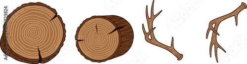 Tree rings cross section illustration, cracked wood texture, stylized antlers wildlife art, forestry biology anatomy design concept