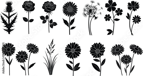 PrintSet of floral silhouettes featuring roses, daisies, dandelions, and wild meadow flowers for organic branding, garden wedding invitations, botanical art, and nature-themed graphic design