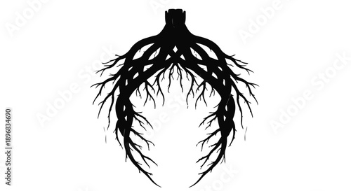 Intricate black tree roots form a symmetrical, stylized silhouette against a white background.