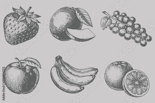 vintage engraving style Banana, Apple, Orange, Grapes, Mango, Strawberry vector illustration. Hand drawing retro fruits set. Eps 10