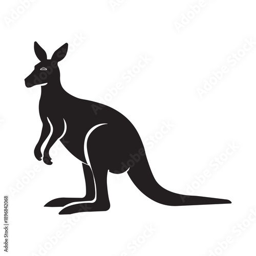 kangaroo