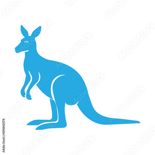 kangaroo